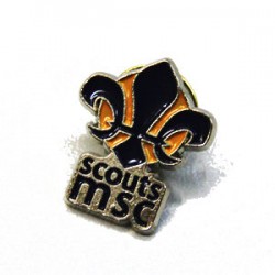 Pin MSC
