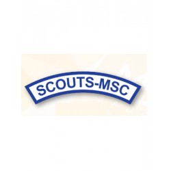 Pin Scouts MSC