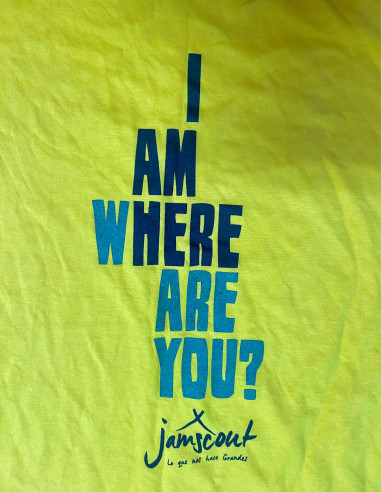 Camiseta de Trabajo Amarilla